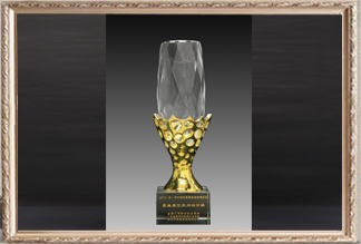 深圳國際家居軟裝飾博覽會較佳展位空間設(shè)計(jì)獎(jiǎng)